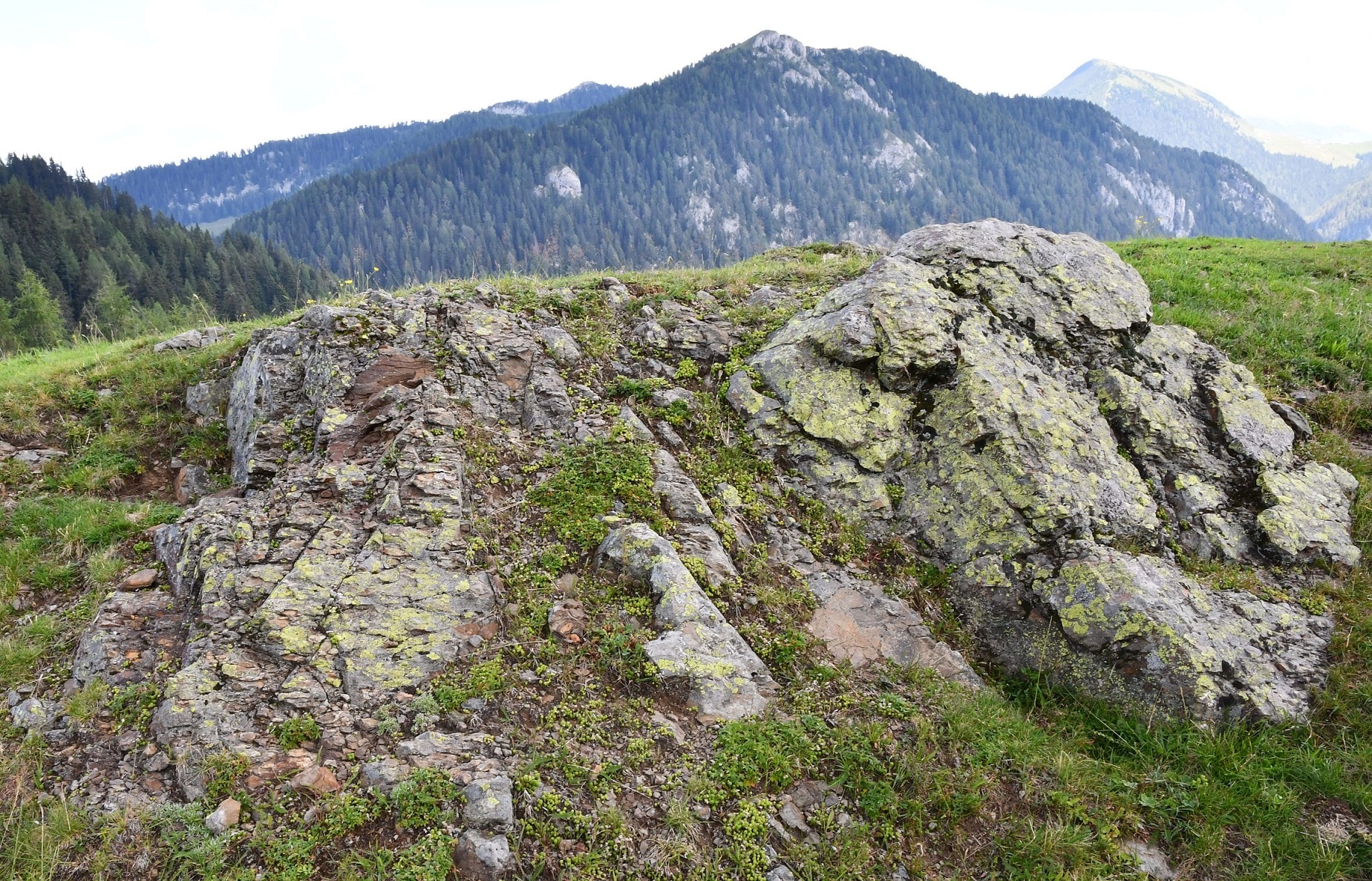 Articolo di prova Stefano 2